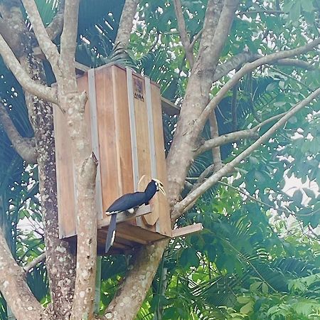 Najjamee Bungalows Đảo Koh Yao Noi Ngoại thất bức ảnh